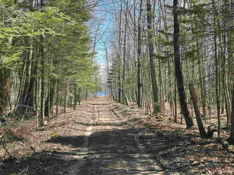 TBD Lot 27 1st St, Manistique, MI 49854 - Image #2