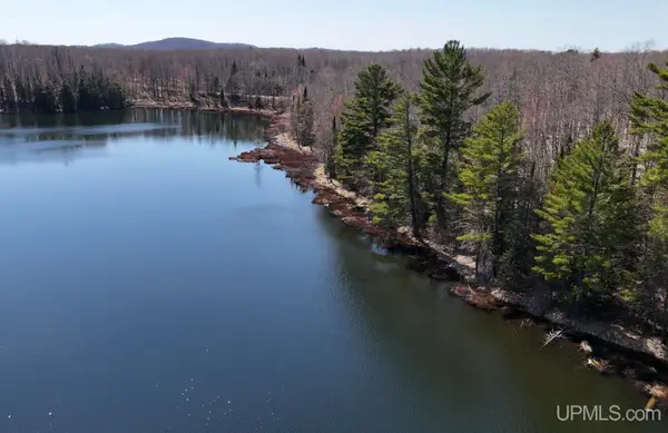 TBDB Off Winona, Toivola, MI 49965