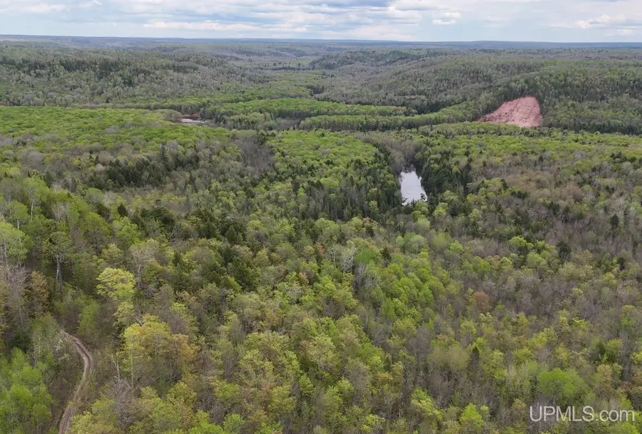TBD1948 Off Victoria Dam, Rockland, MI 49960 - Image #3