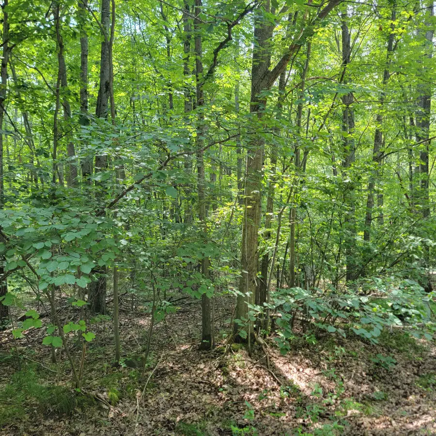 Lot 1314 Spruce Hill, Farwell, MI 48622 - Image #3