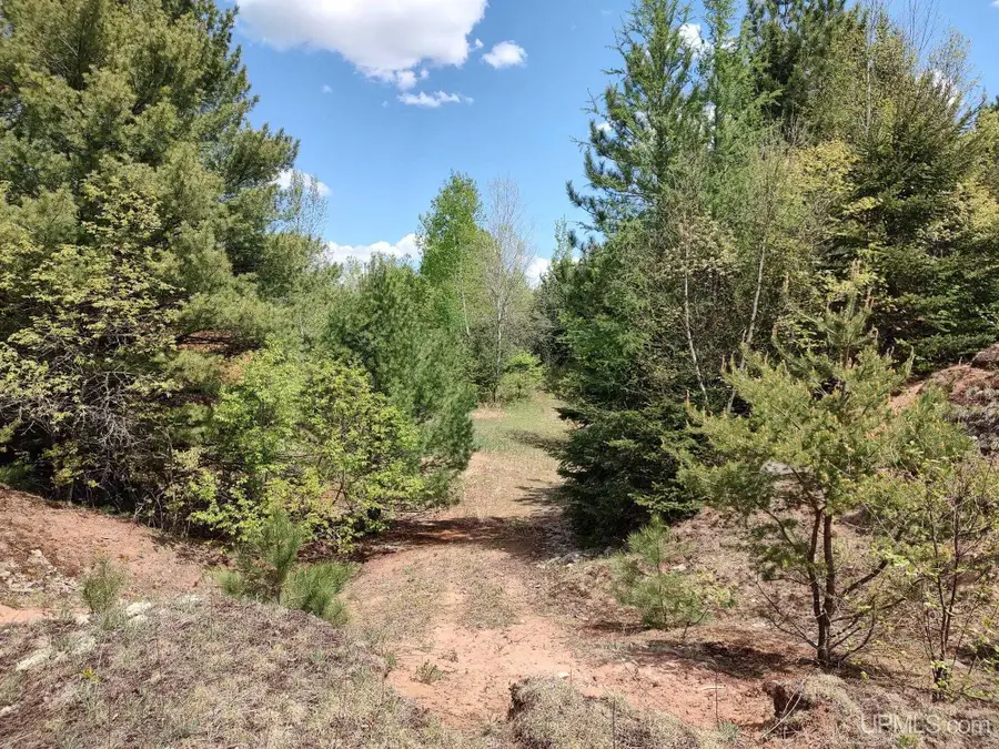 TBD Dunham, Marenisco, MI 49947 - Image #2