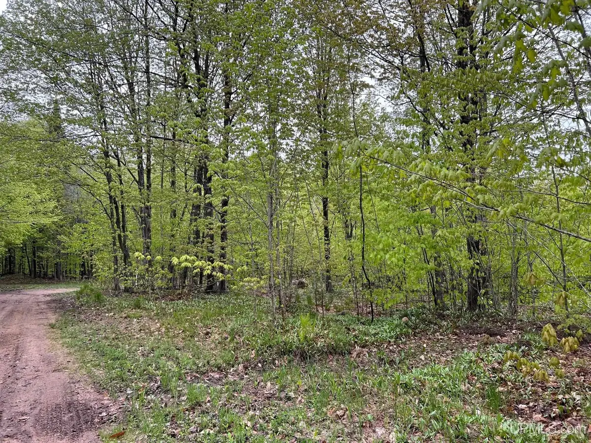 TBD Harborview Lot 7 & 8, Munising, MI 49862 - Image #1