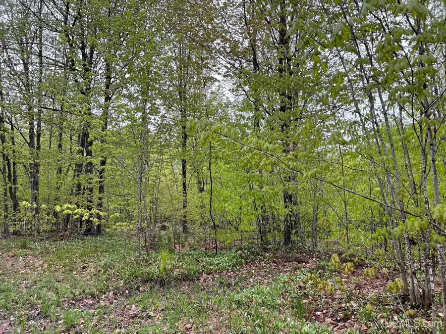 TBD Harborview Lot 7 & 8, Munising, MI 49862 - Image #2