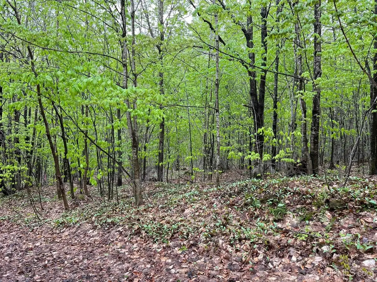 TBD Harborview Lot 9-11, Munising, MI 49862 - Image #1