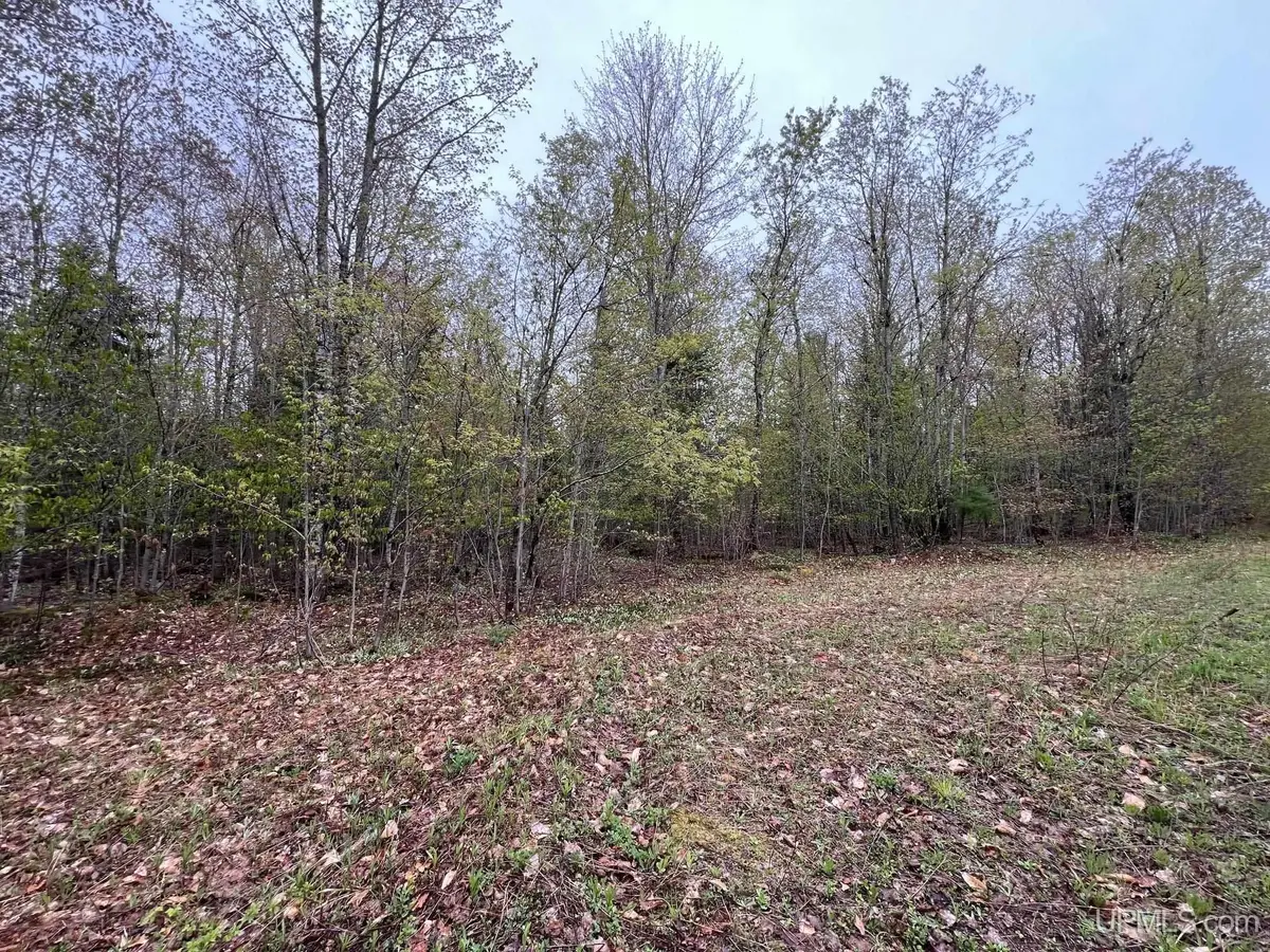 TBD Harborview Unit 2, Munising, MI 49862 - Image #1