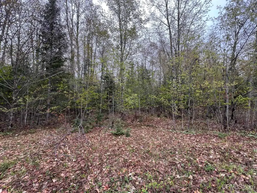 TBD Harborview Unit 2, Munising, MI 49862 - Image #2
