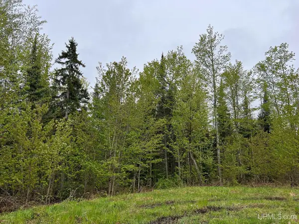 TBD Harborview Lot 13, Munising, MI 49862