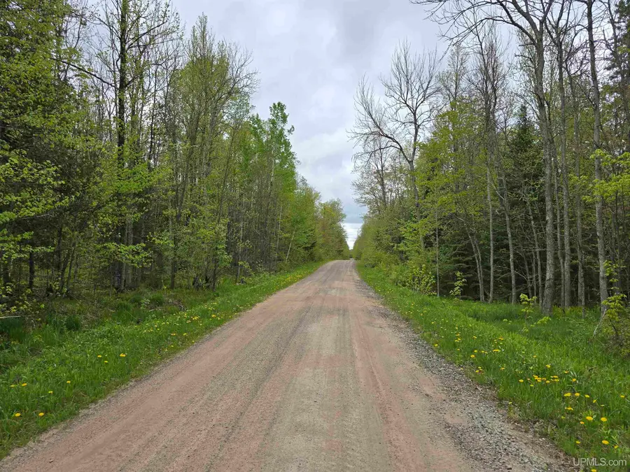 Lot 37 Yellow, Nisula, MI 49952 - Image #2