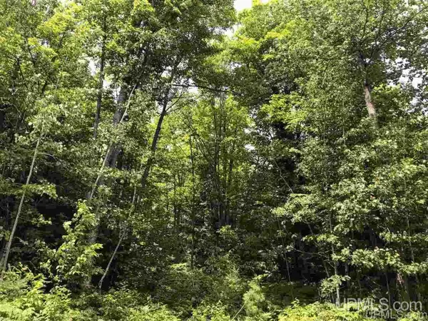 Lot H Maple Wood, Gwinn, MI 49841