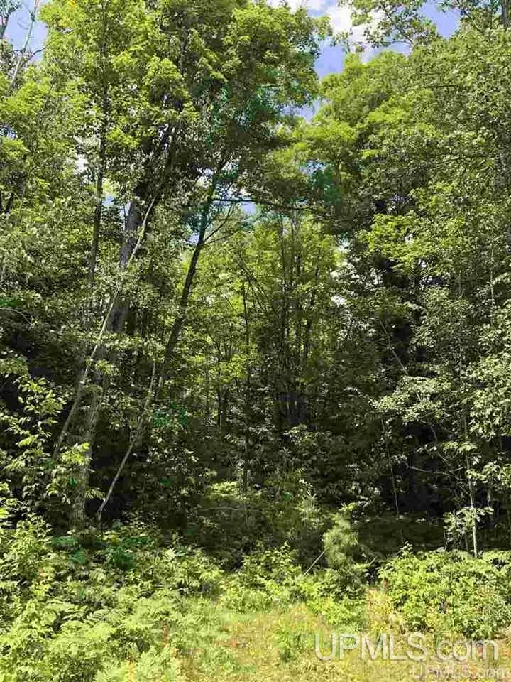 Lot H Maple Wood, Gwinn, MI 49841 - Image #2