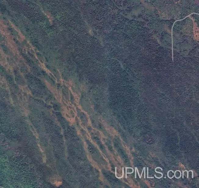 Off Hartman Camp, Manistique, MI 49854 - Image #2