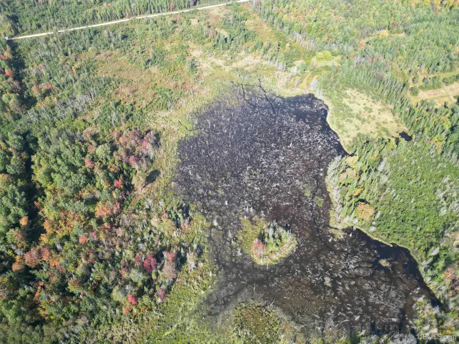 TBD North 38th Rd "west 20", Rock, MI 49880 - Image #3