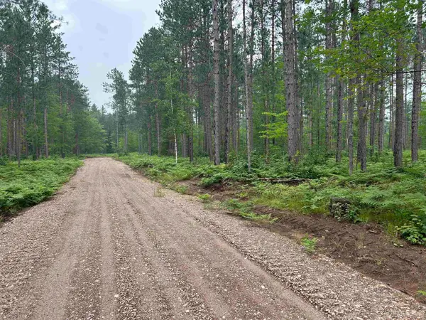 TBD Parcel 1 Paint River, Crystal Falls, MI 49920