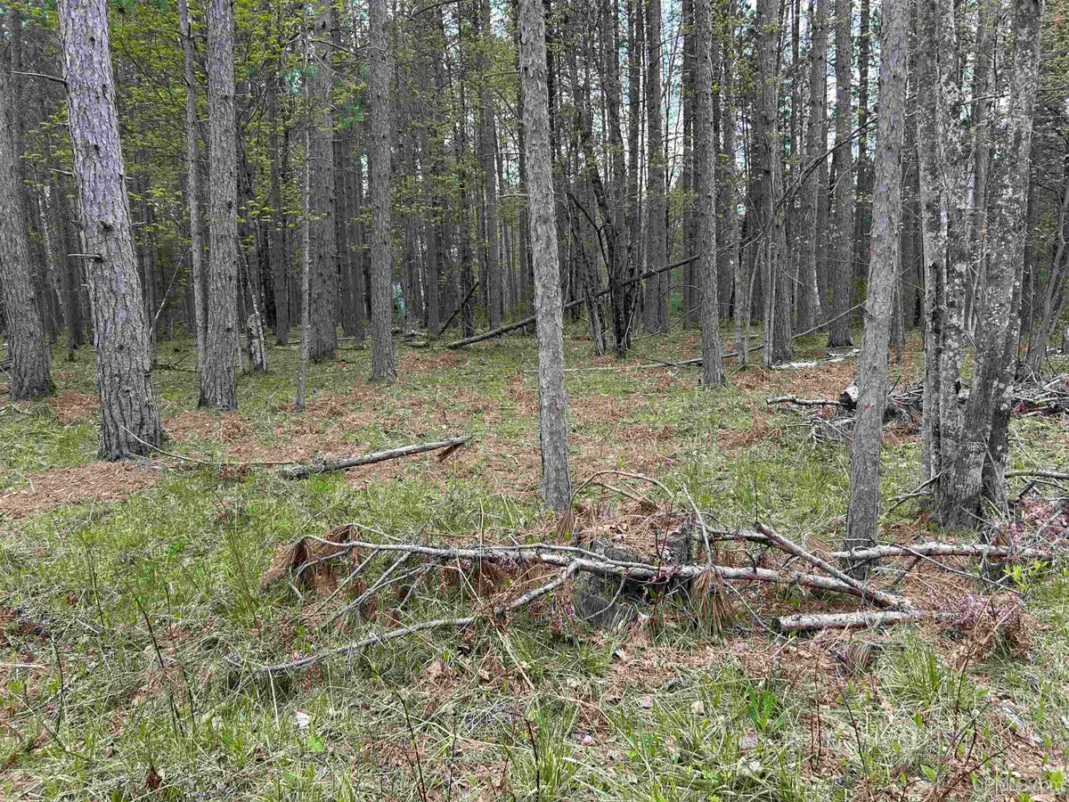 TBD Parcel 2 Paint River, Crystal Falls, MI 49920 - Image #1