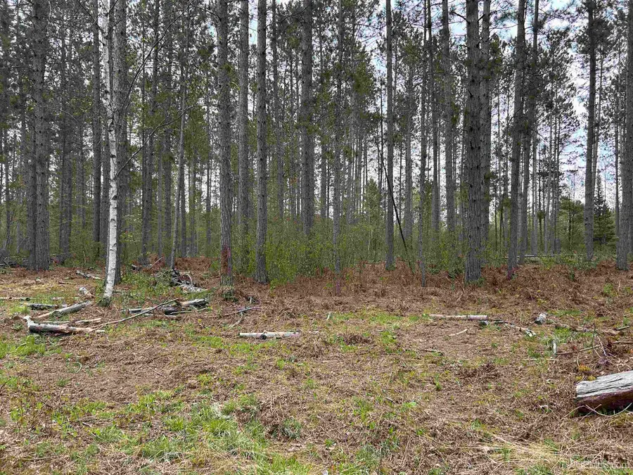 TBD Parcel 2 Paint River, Crystal Falls, MI 49920 - Image #3