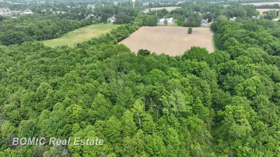 VL Fulmer, Millington, MI 48746 - #2