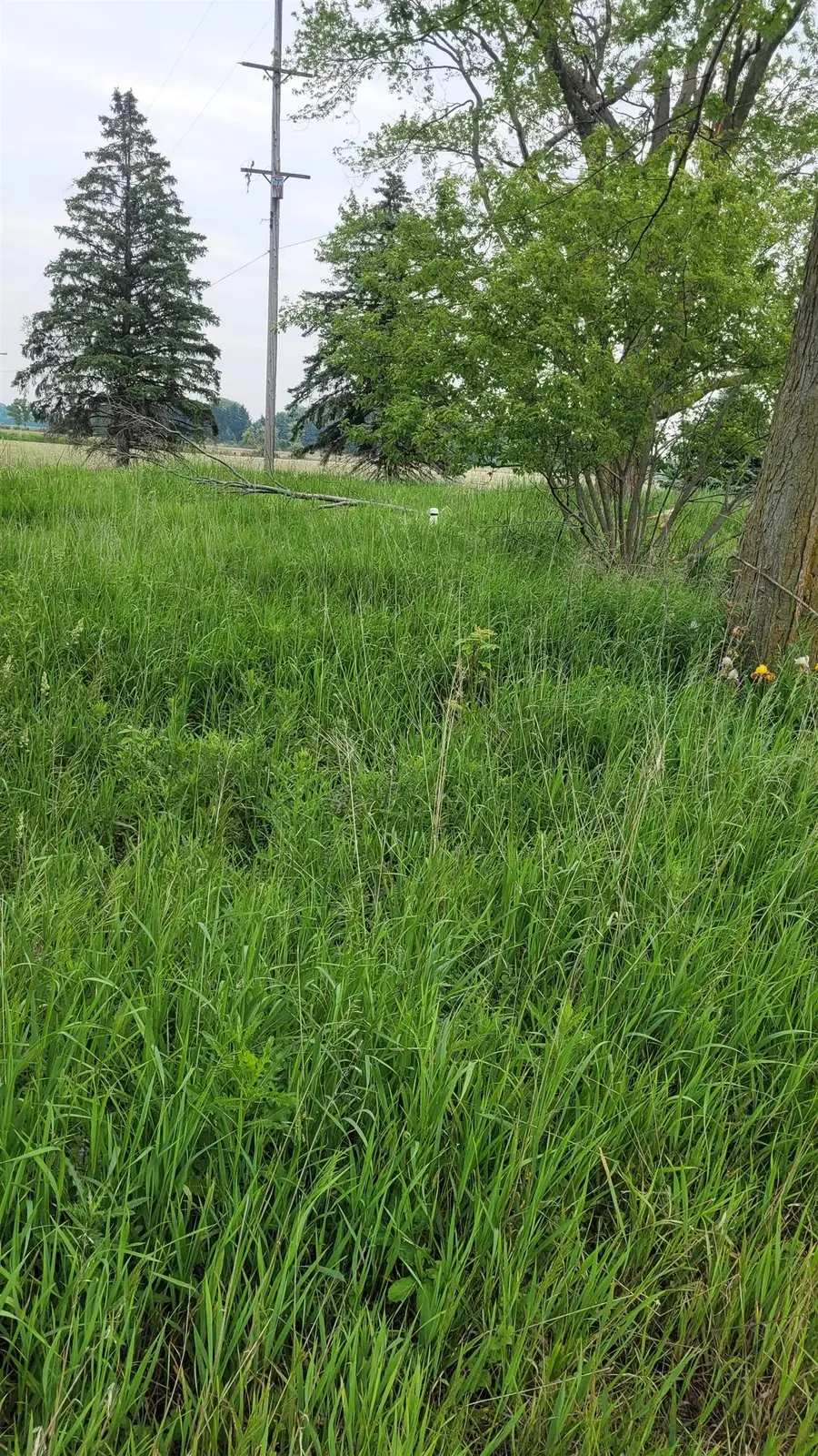 2305 W Juddville, Owosso, MI 48867 - Image #3