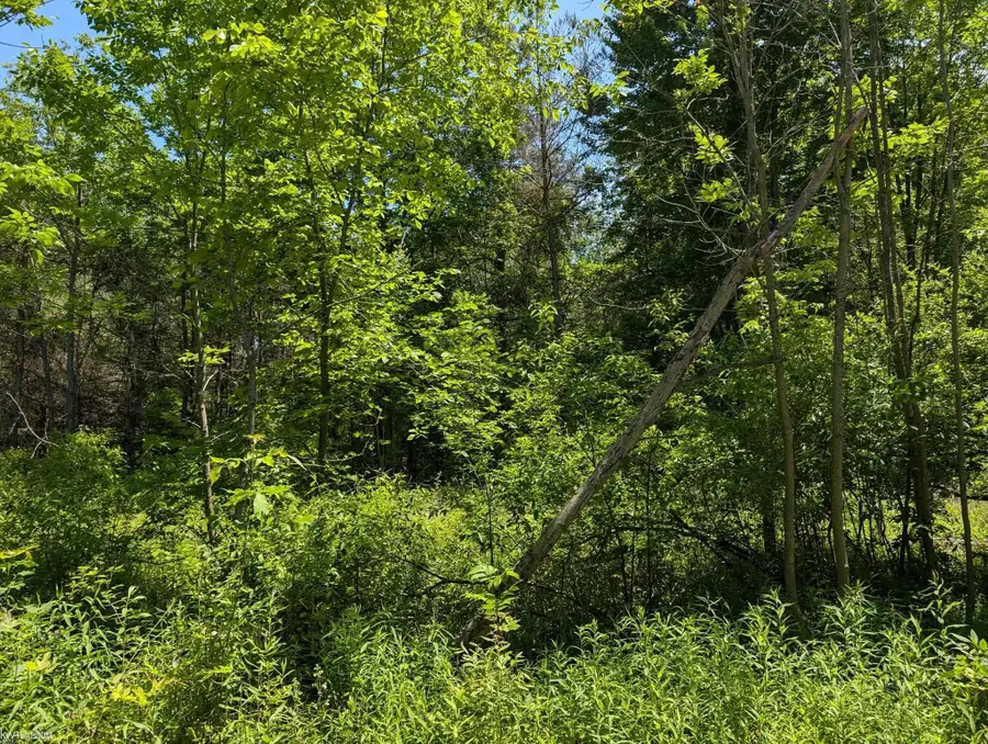 000 Fox, Goodells, MI 48027 - Image #2