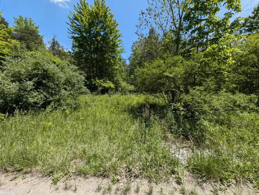 0000 Fox, Goodells, MI 48027 - Image #2