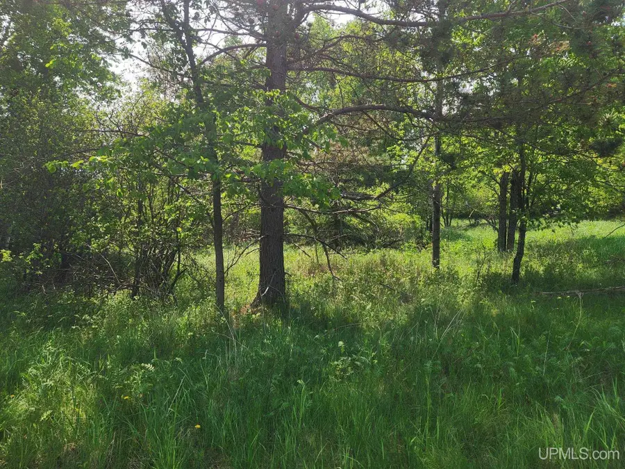 730 Coolidge, Iron River, MI 49935 - Image #2