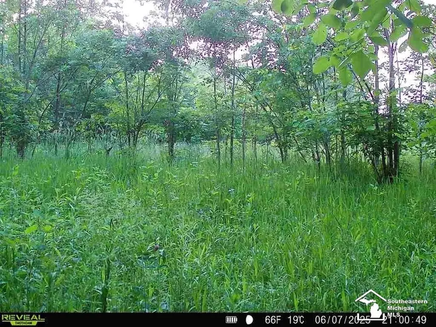 5901 Milan Oakville, Milan, MI 48160 - #2