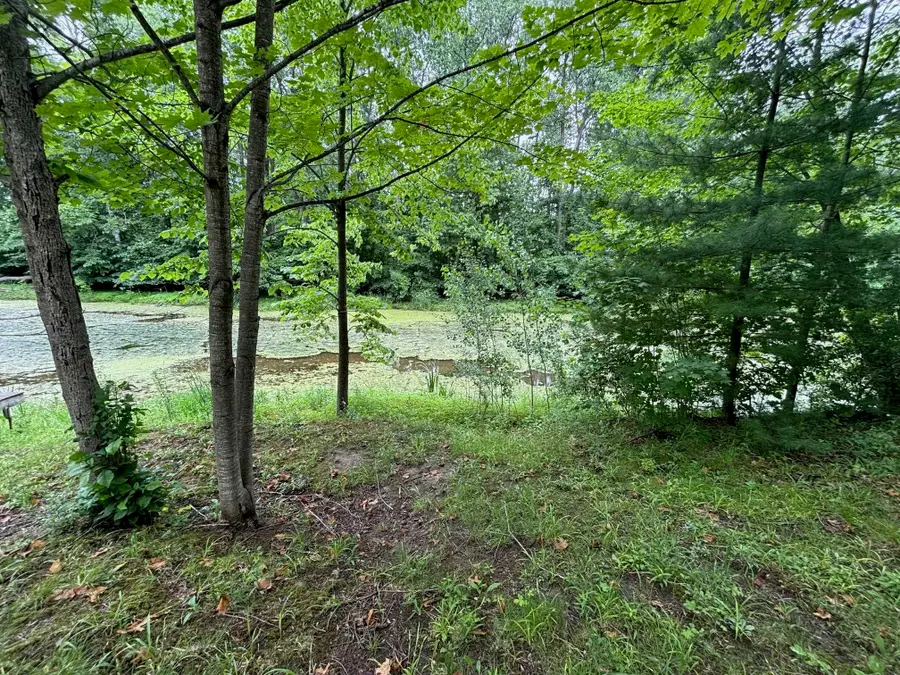 4141 Wieman, Beaverton, MI 48612 - Image #2