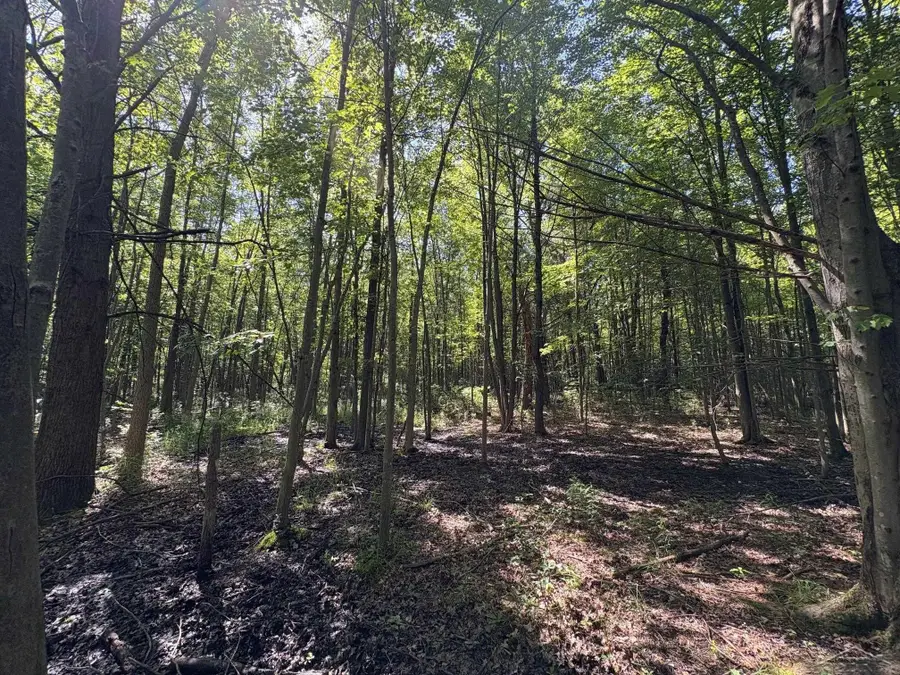 N Gleaner Rd, Saginaw, MI 48609 - Image #3