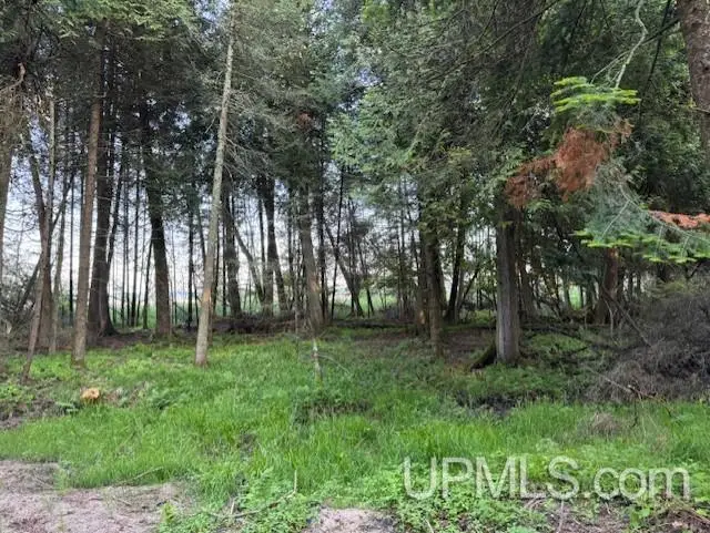 TBD Juniper Aa, Rapid River, MI 49878 - Image #3