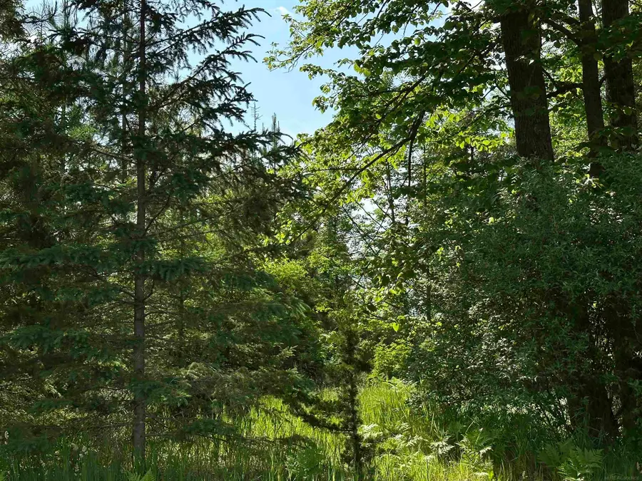 N17375 Co Rd 579, Hermansville, MI 49847 - #2