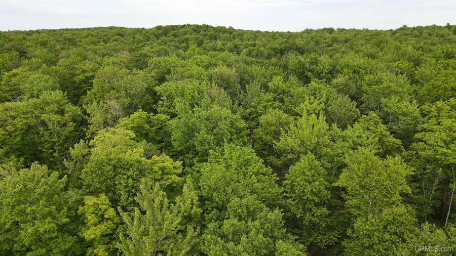 tbd Superior Shores (little America), Atlantic Mine, MI 49905 - Image #2
