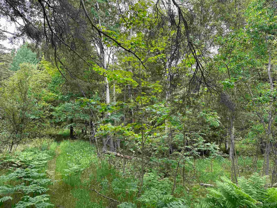 713 Grove, Marquette, MI 49855 - Image #2