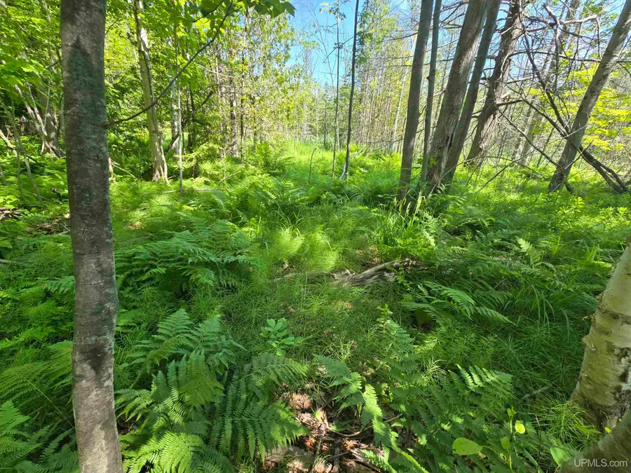 1506 Sugar Maple, Houghton, MI 49931 - Image #3