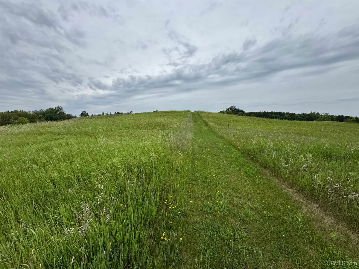 TBD New York Lake, Vulcan, MI 49892 - Image #1