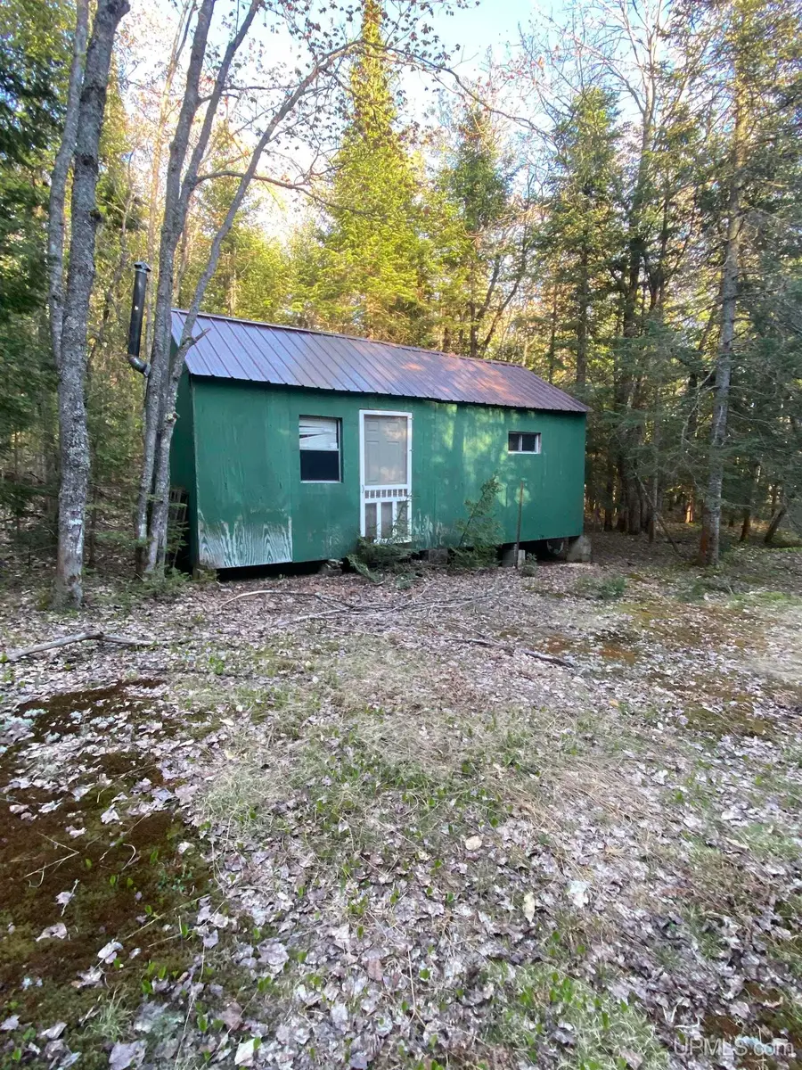 TBD Ross Lake, Shingleton, MI 49884 - Image #2