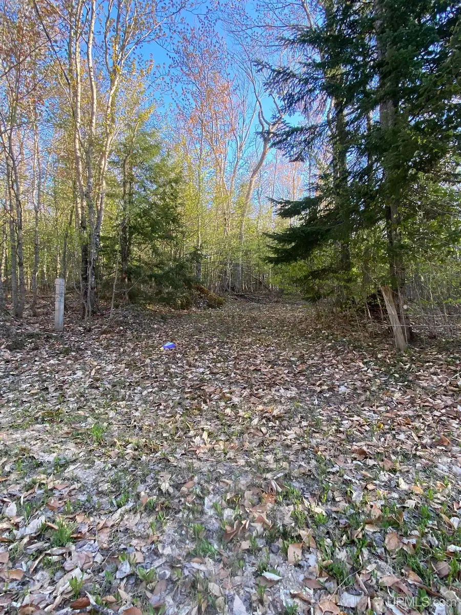 TBD Ross Lake, Shingleton, MI 49884 - Image #3