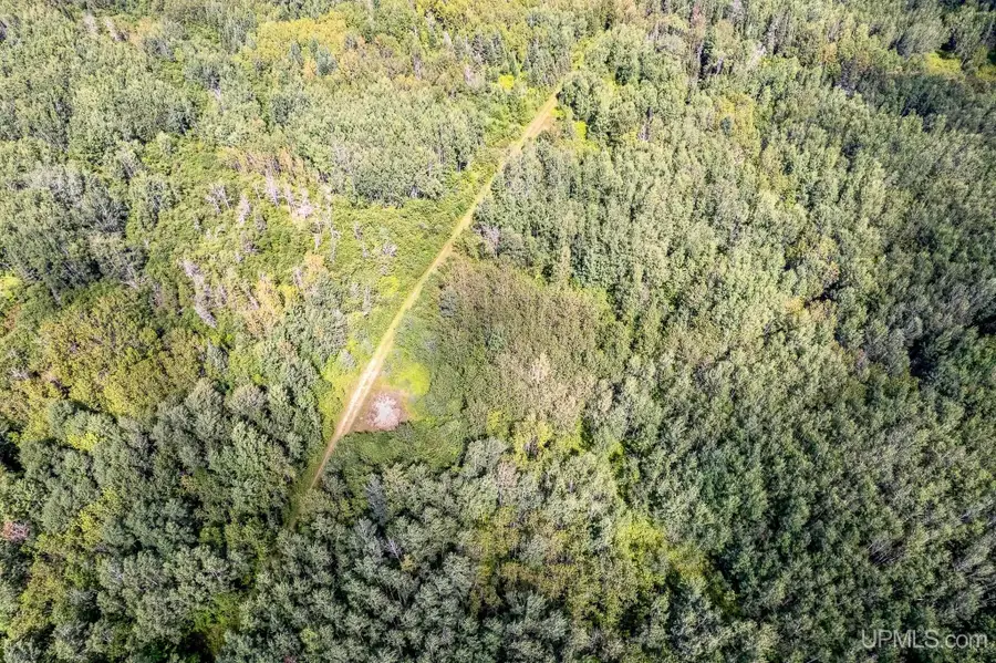 TBD Plantation, Rock, MI 49880 - Image #3