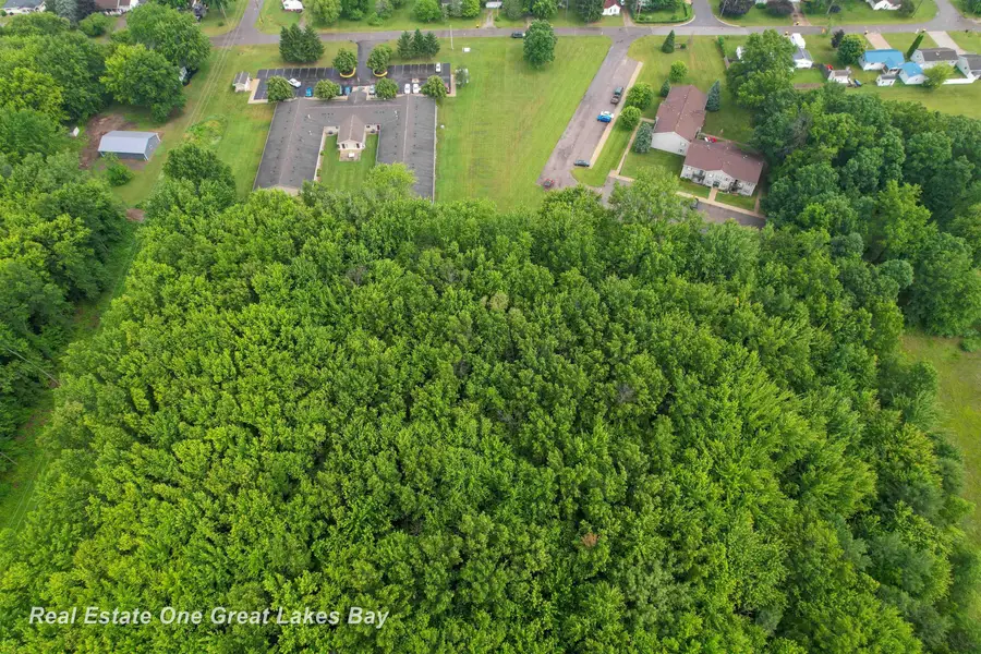 600 Bentley, Chesaning, MI 48616 - #3