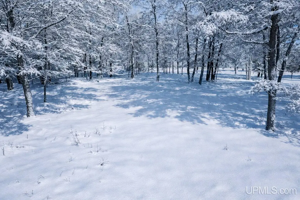 TBD Tipperary, Gladstone, MI 49837 - Image #1