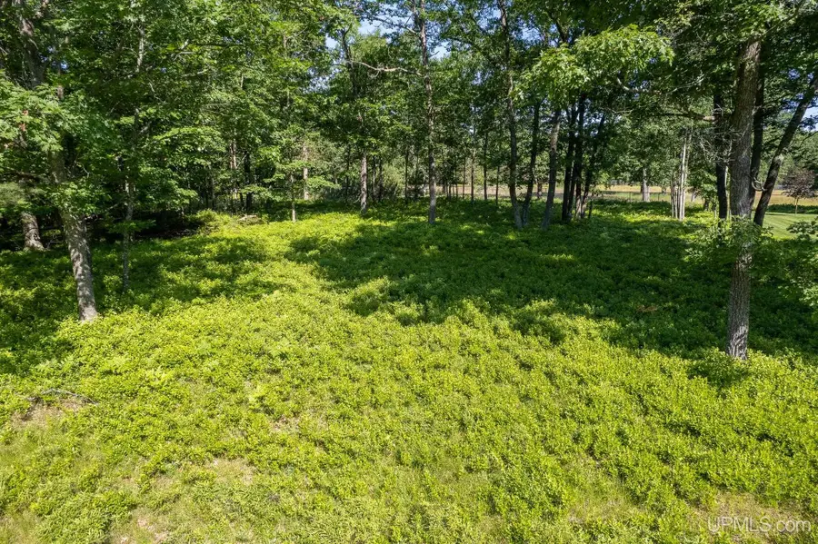 TBD Tipperary, Gladstone, MI 49837 - Image #3