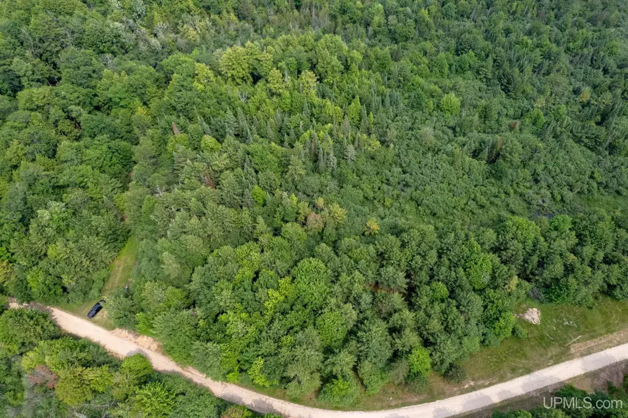 TBD R.75, Rapid River, MI 49878 - Image #3