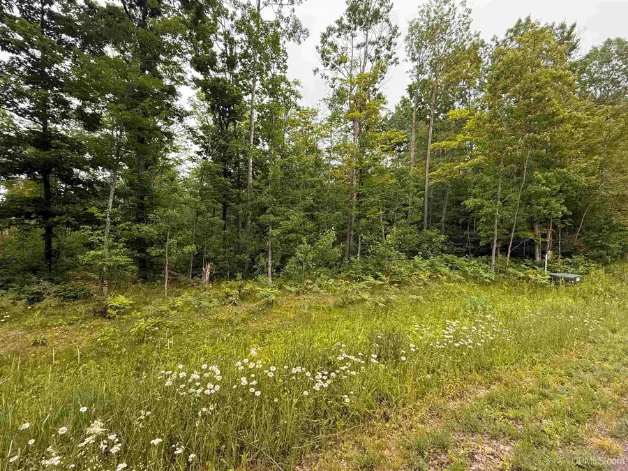 Unit 2 Greenway, Portage, MI 49931 - Image #2