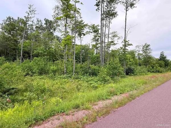 Unit 4 Greenway, Portage, MI 49931