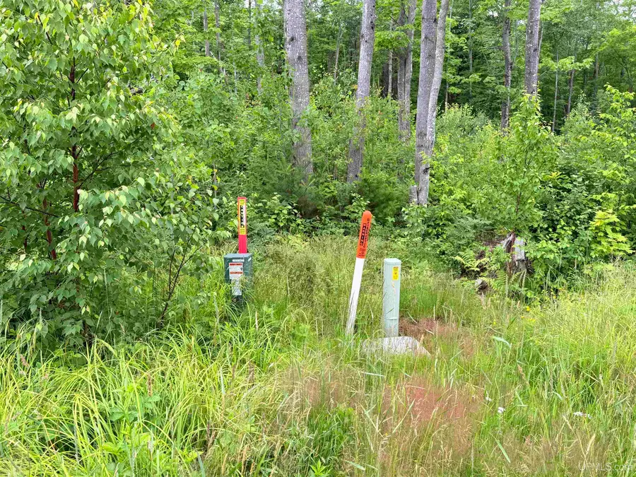 Unit 4 Greenway, Portage, MI 49931 - Image #2