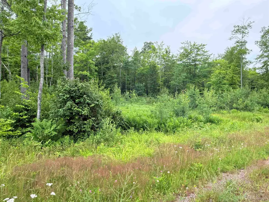 Unit 4 Greenway, Portage, MI 49931 - Image #3