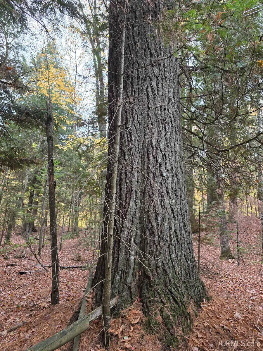 9693N Blue, Nisula, MI 49952 - Image #2