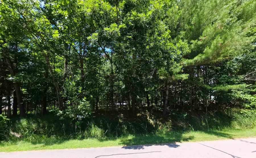 Lot 234 Kings, Gladwin, MI 48624 - Image #3