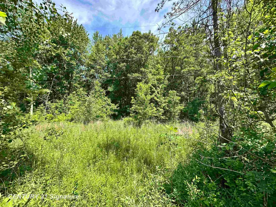 VL Dale, Beaverton, MI 48612 - Image #3