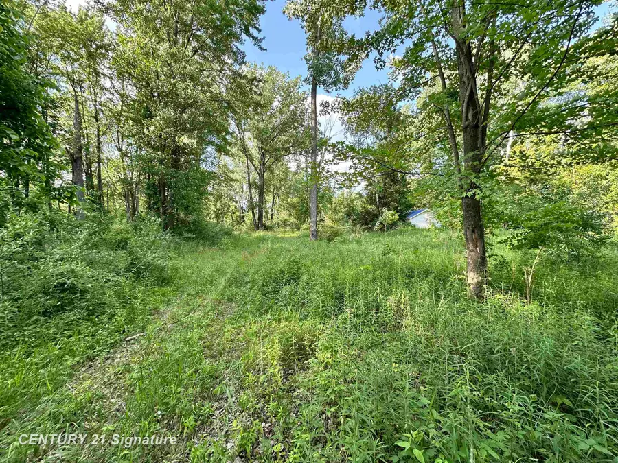 4020 Wieman, Beaverton, MI 48612 - Image #3