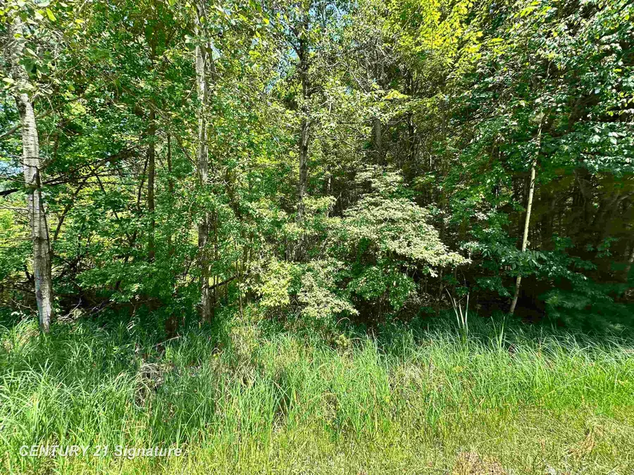 VL Pinconning, Beaverton, MI 48612 - Image #2