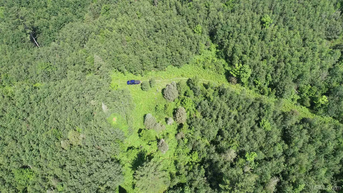 80 Acres Off M69, Crystal Falls, MI 49920 - Image #1